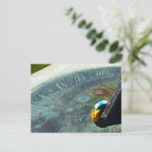 Gelbe Schnecke bei einem Sonnenuhr Postkarte (Stehend Vorderseite)