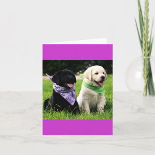 Gelbe & schwarze Labrador Retriever Welpen Grußkar Karte