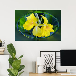 Gelbe Schwertlilie Poster