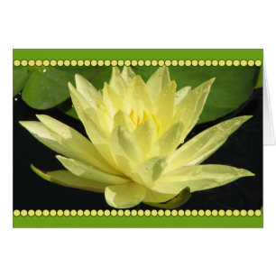 Gelbe Seerosenblüte