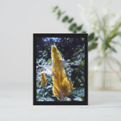 Gelbe Shrimp-Pflanze mit Ameisen-Postkarte Postkarte (Stehend Vorderseite)