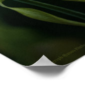 Gelbe Slipper Poster (Ecke)
