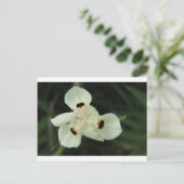 Gelbe Sommer-Blume Postkarte (Stehend Vorderseite)