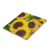 Gelbe Sommersonnenblumen Fliese (Seite)