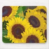 Gelbe Sommersonnenblumen Mousepad (Vorne)