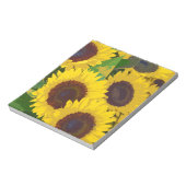Gelbe Sommersonnenblumen Notizblock (Rotiert)