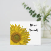 Gelbe Sonnenblume Änderung der Ankündigung (Stehend Vorderseite)