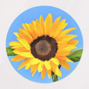 Gelbe Sonnenblume auf blauem Himmel - Sommer  Etiketten