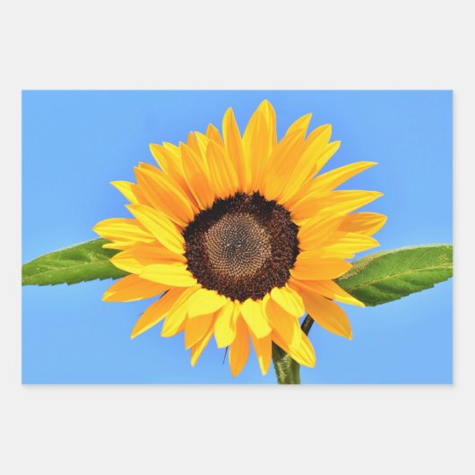 Gelbe Sonnenblume auf blauem Himmel - Sommer Geschenkpapier Set (Vorderseite 3)