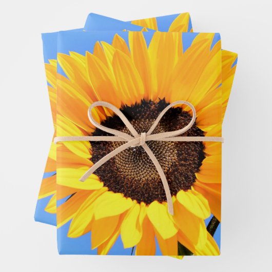 Gelbe Sonnenblume auf blauem Himmel - Sommer Geschenkpapier Set (Beispiel)