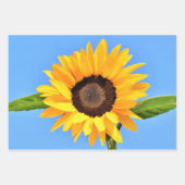 Gelbe Sonnenblume auf blauem Himmel - Sommer Geschenkpapier Set (Vorderseite)