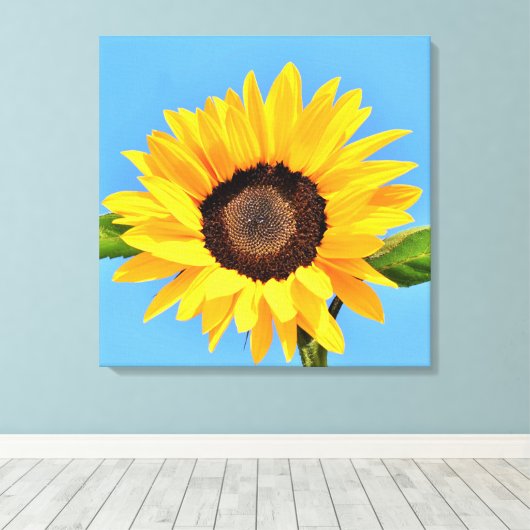 Gelbe Sonnenblume auf blauem Himmel - Sommer Leinwanddruck (Insitu (Holzboden))