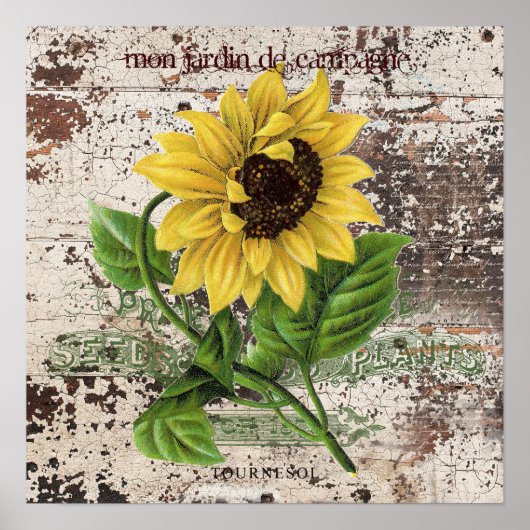 Gelbe Sonnenblume auf rustikalem Holzpaneel Poster (Vorne)