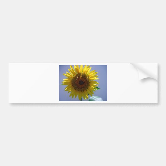 Gelbe Sonnenblume Autoaufkleber (Vorne)