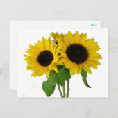 Gelbe Sonnenblume Blank Floral Postkarte (Vorne/Hinten)