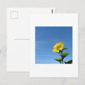 Gelbe Sonnenblume, Blue Sky Postcard Postkarte (Vorne/Hinten)