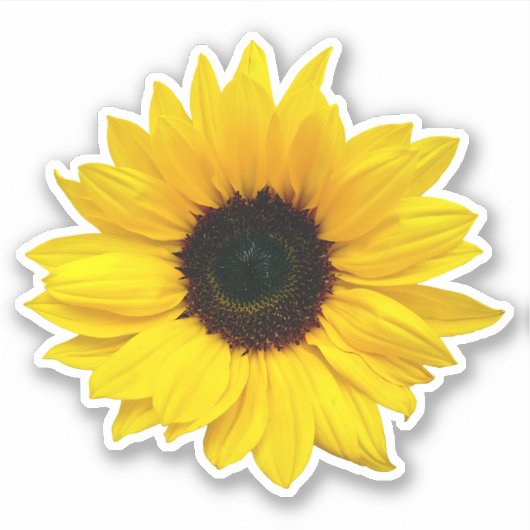 Gelbe Sonnenblume Blume Kiss-Cut Sticker (Vorderseite)