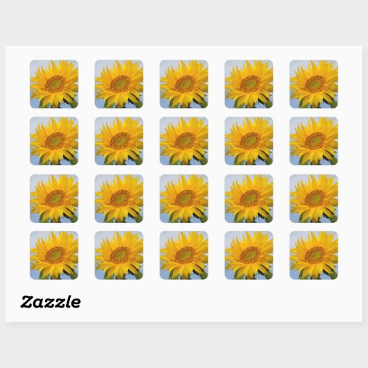 Gelbe Sonnenblume Blumenblauer Sticker / Siegel (Blatt)
