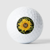 Gelbe Sonnenblume, Blütenblütenweibchen Golfball (Vorderseite)