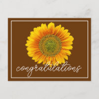 Gelbe Sonnenblume Brauner Hintergrund Herzlichen G