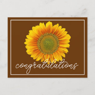 Gelbe Sonnenblume Brauner Hintergrund Herzlichen G Postkarte