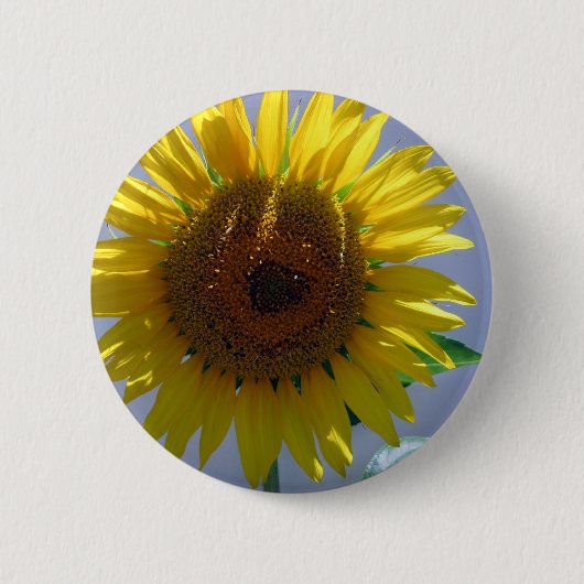Gelbe Sonnenblume Button (Vorderseite)