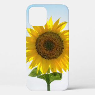 Gelbe Sonnenblume Case-Mate iPhone Hülle