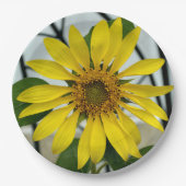 Gelbe Sonnenblume Delikat Botanische Blüte Pappteller (Vorderseite)