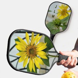 Gelbe Sonnenblume Delikatesse Blumenfotografie Pickleball Schläger