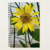 Gelbe Sonnenblume Delikatesse Blumenfotografie Planer (Vorderseite)