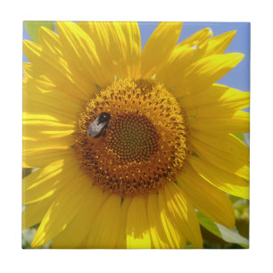 Gelbe Sonnenblume Fliese