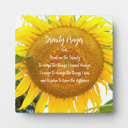 Gelbe Sonnenblume Fotoplatte (Vorderseite)