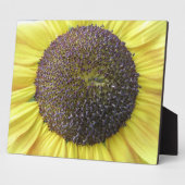 Gelbe Sonnenblume Fotoplatte (Seite)