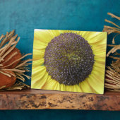 Gelbe Sonnenblume Fotoplatte (Seite)
