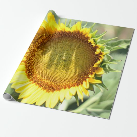 Gelbe Sonnenblume Geschenkpapier (Ungerollt)