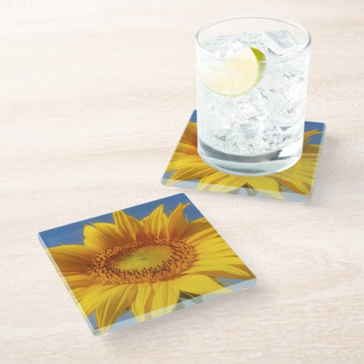 Gelbe Sonnenblume Glasuntersetzer (Schrägansicht)