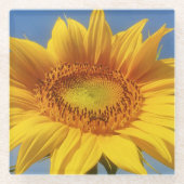 Gelbe Sonnenblume Glasuntersetzer (Vorderseite)
