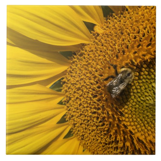 Gelbe Sonnenblume Honigbiene Keramik Tile Fliese (Vorderseite)