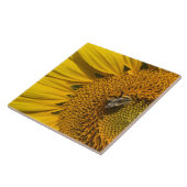 Gelbe Sonnenblume Honigbiene Keramik Tile Fliese (Seite)