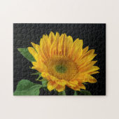 Gelbe Sonnenblume im schwarzen Hintergrund Puzzle (Horizontal)