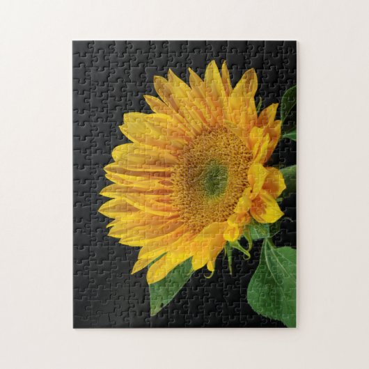 Gelbe Sonnenblume im schwarzen Hintergrund Puzzle (Vertikal)