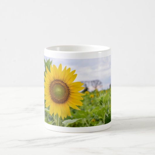 Gelbe Sonnenblume Kaffeetasse (Mittel)