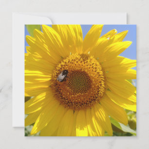 Gelbe Sonnenblume Karte