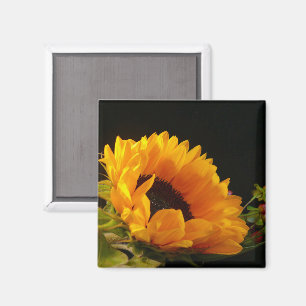 Gelbe Sonnenblume Magnet