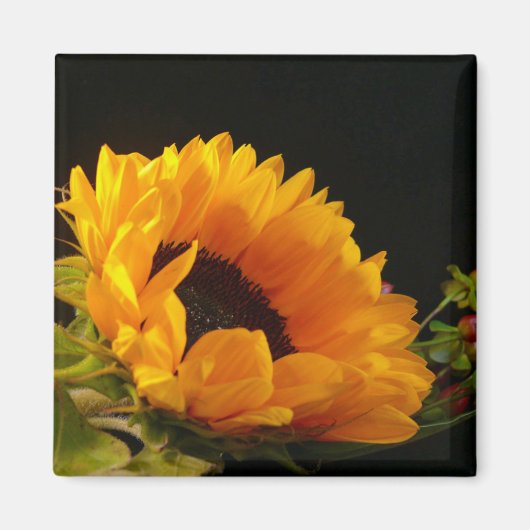 Gelbe Sonnenblume Magnet (Vorne)