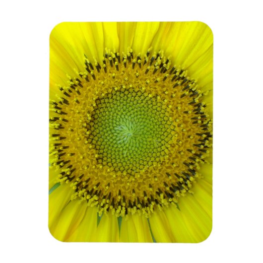 Gelbe Sonnenblume Magnet (Vertikal)