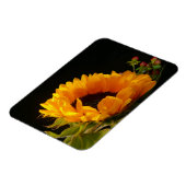 Gelbe Sonnenblume Magnet (Linke Seite)