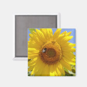 Gelbe Sonnenblume Magnet (Vorderseite/Rückseite)