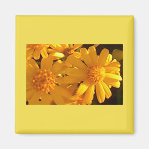 Gelbe Sonnenblume Magnet