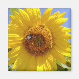 Gelbe Sonnenblume Magnet